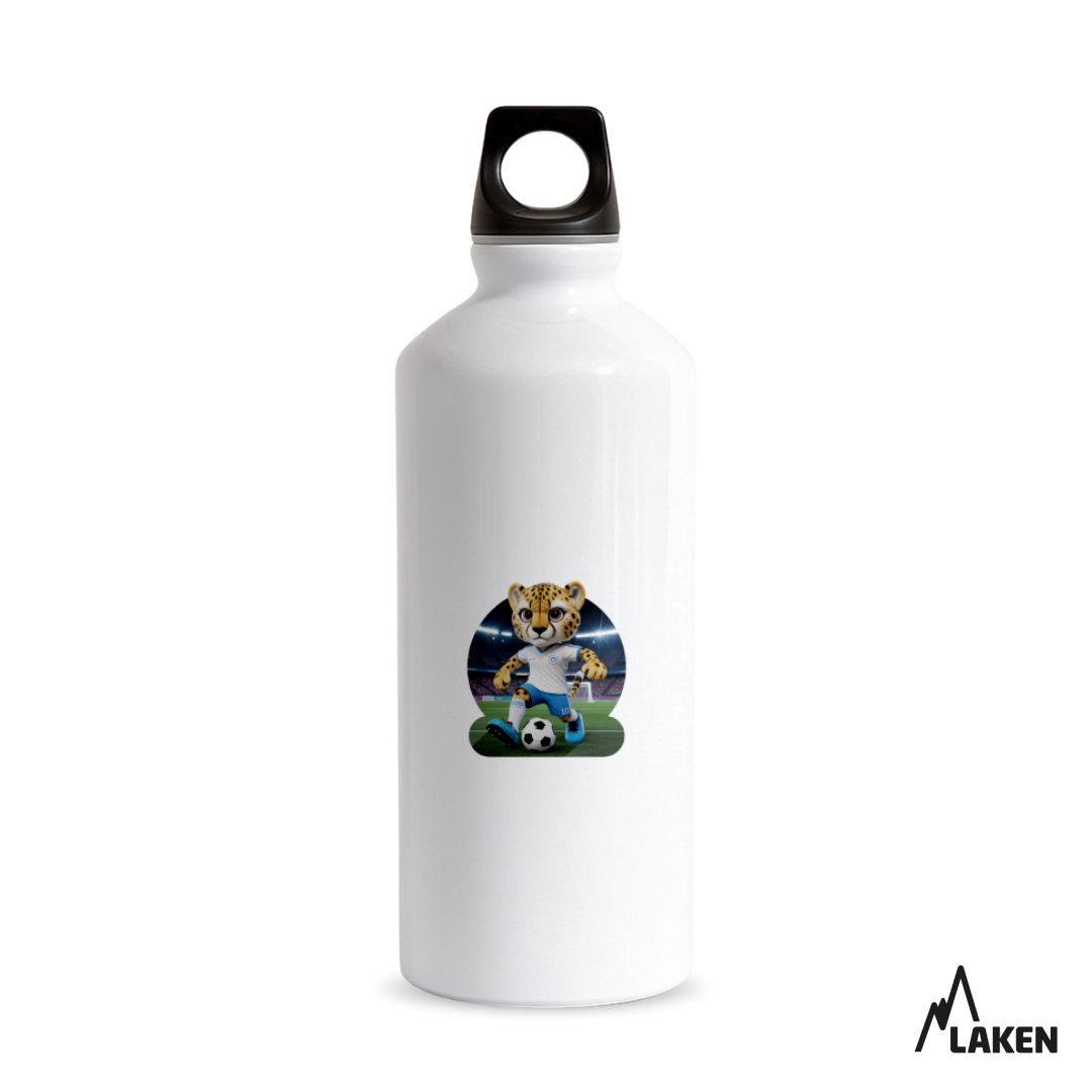 כדורגל צ׳יטה