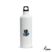 חתול גולש